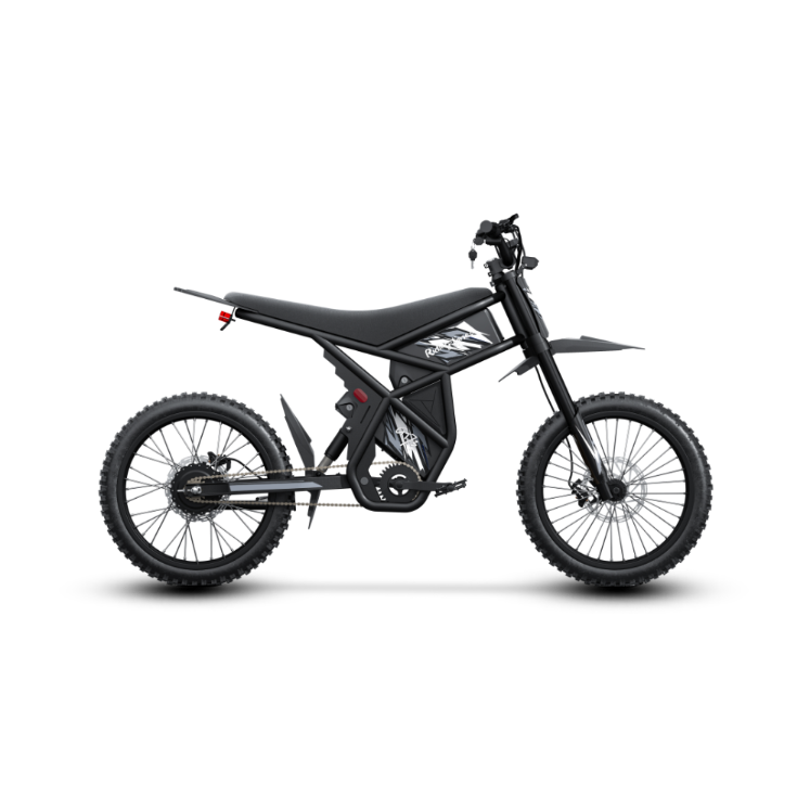GT73 Electric Motorbike & Riding'times Europe