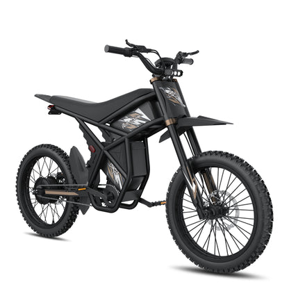 GT73 Pro Electric Motorbike