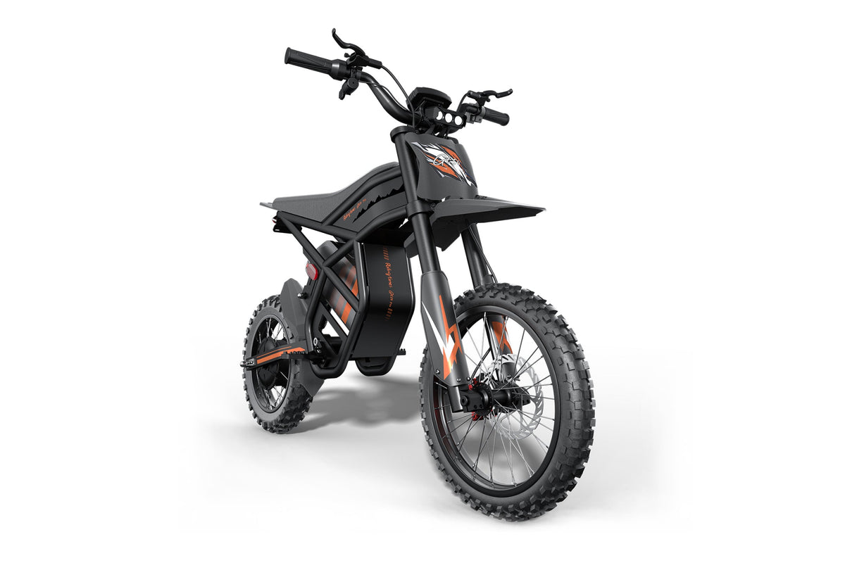 GT54 Pro Electric Mini Dirt Bike 3000W 80 KM/H eBike for Adults ...