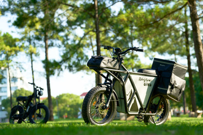 Moto cargo électrique GT53 