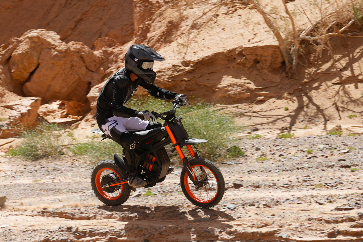 Gt73 Base Model Moto électrique GT73 Pro & Riding'times Europe