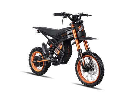 GT54 electric mini motorbike for kids and adults with 2000W motor and off-road tires