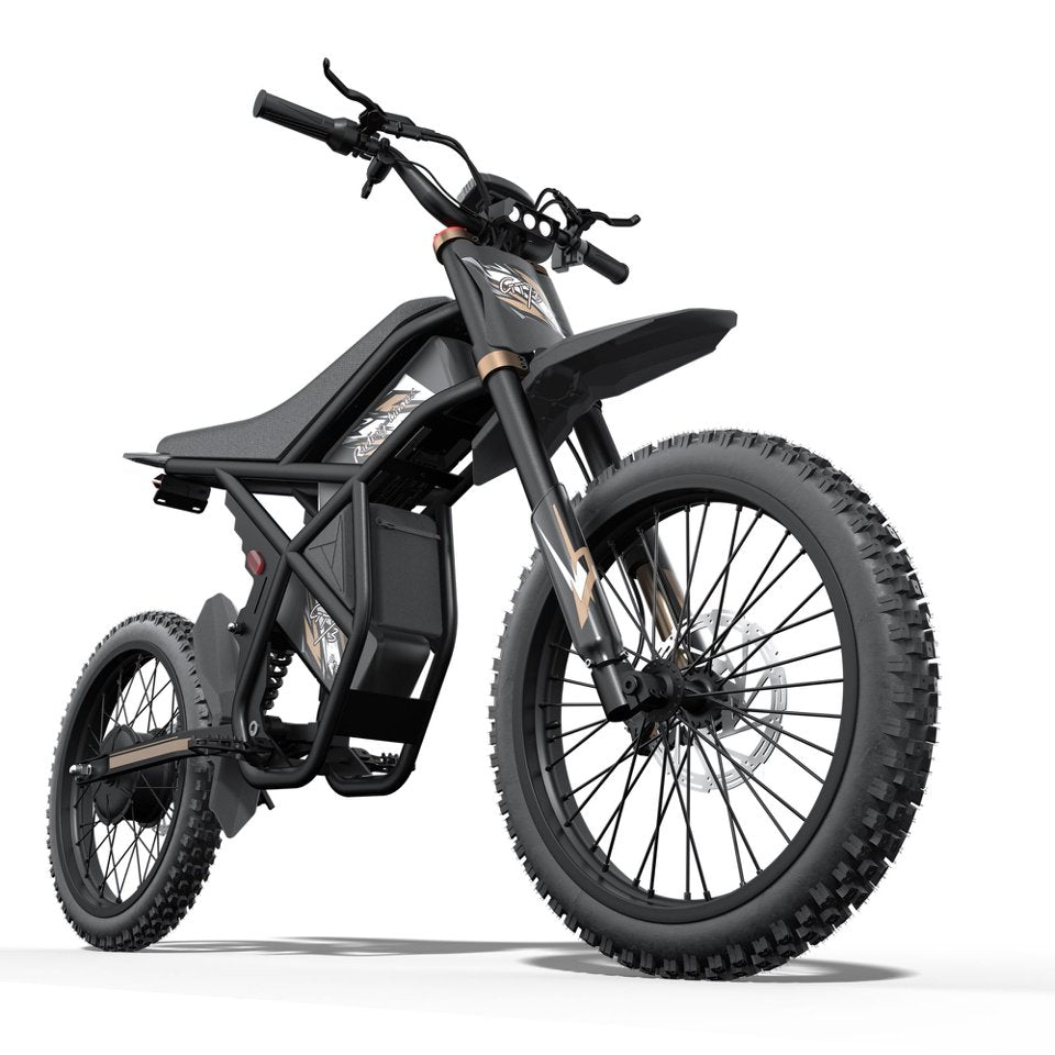 GT73 Pro Electric Motorbike & Riding'times Europe